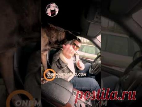 Всё нормально у хулигана