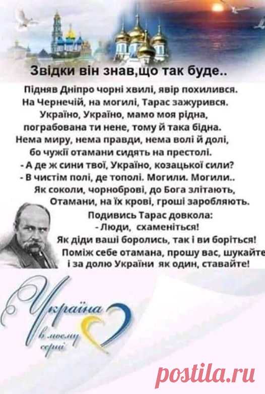 Ми - Родина - Публикации