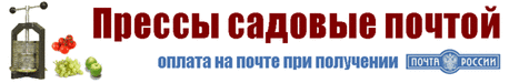 Спирея посадка и уход, болезни, вредители и сорта.
