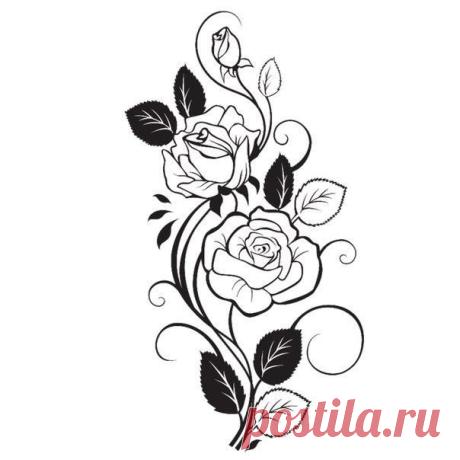 Стена | ВКонтакте