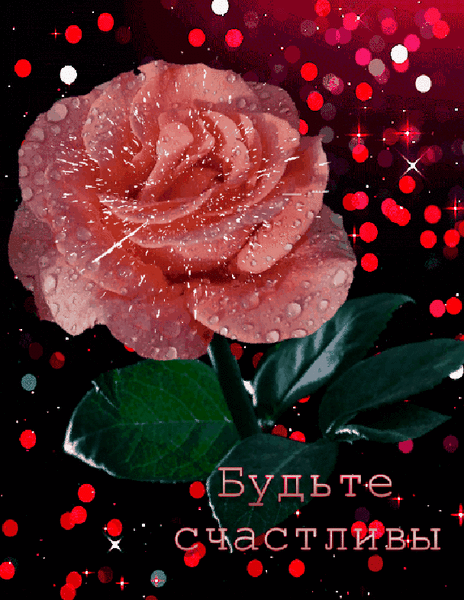 (1) Мой Мир@Mail.Ru