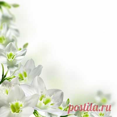 Фотообои "Цветочные"