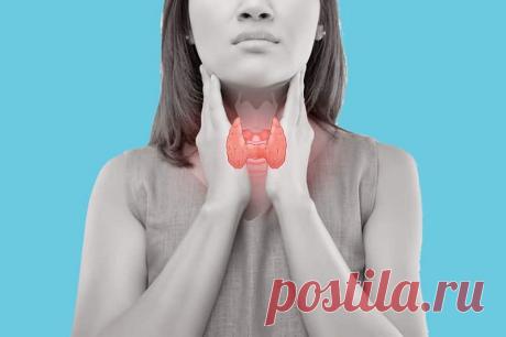 Температура тела и проблемы со щитовидной железой | ОкейДок | Яндекс Дзен