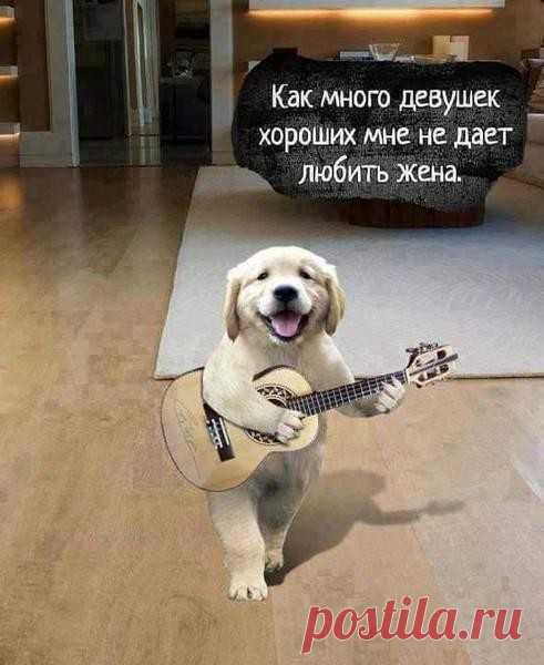 Геннадий Дарвин