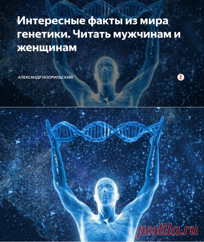 Интересные факты из мира генетики. Читать мужчинам и женщинам | Александр Ноорильский | Яндекс Дзен