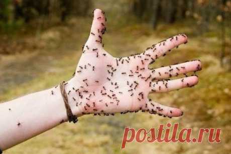Одноклассники