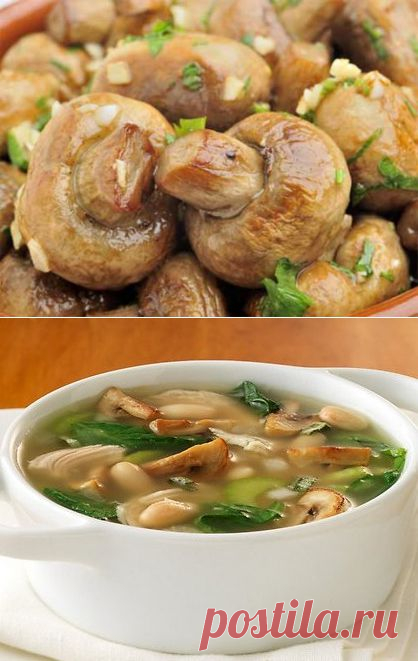 Рецепты вкусных блюд из шампиньонов.