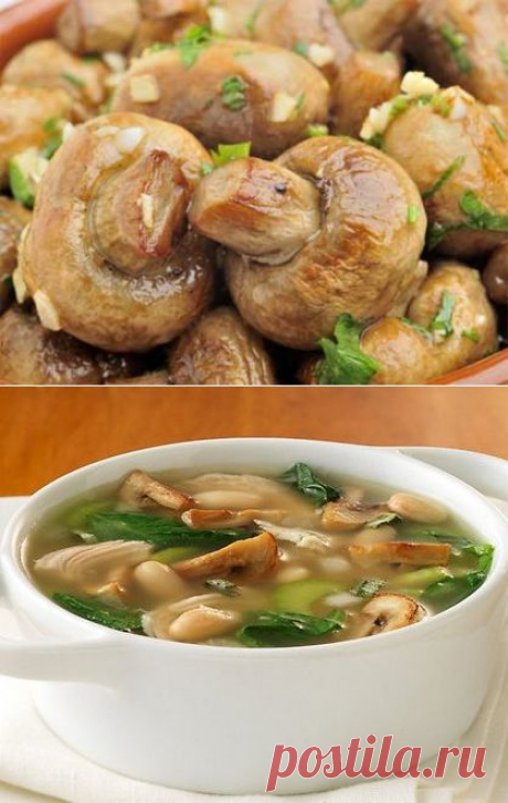 Рецепты вкусных блюд из шампиньонов.