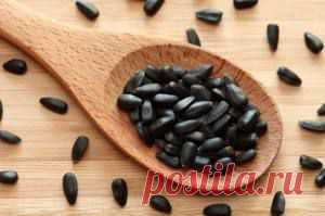 СЕМЕЧКИ: ГРЫЗЕМ С ПОЛЬЗОЙ И ВКУСОМ! | Советы Народной Мудрости