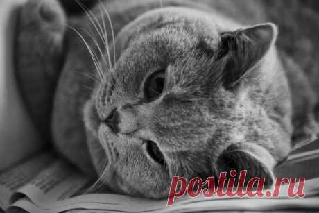 Подборка прикольных и интересных картинок №lublusebya-15071025042019 | Люблю Себя