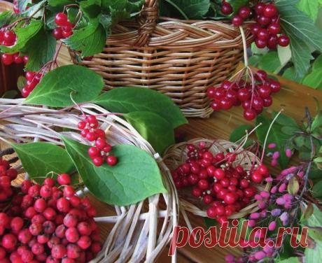 Ягодка опять: косметика своими руками / косметика / 7dach.ru