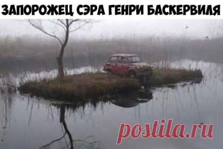 Выпуск №5925 - выпуск анекдотов сайта вокруг смеха