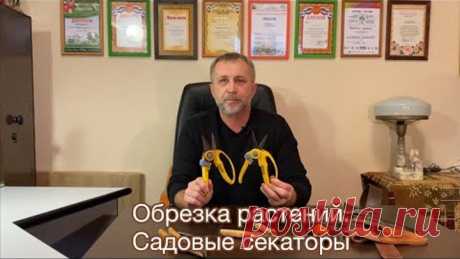 Садовые секаторы