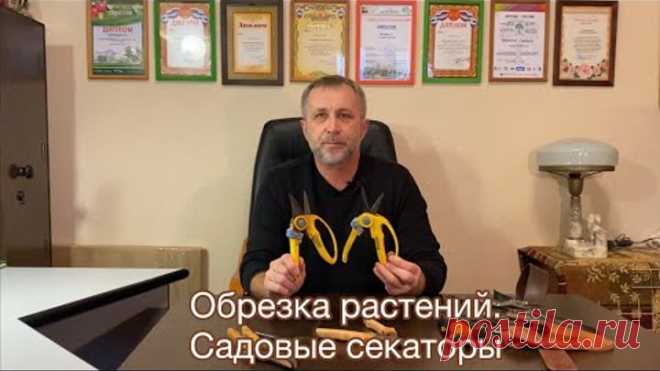Садовые секаторы