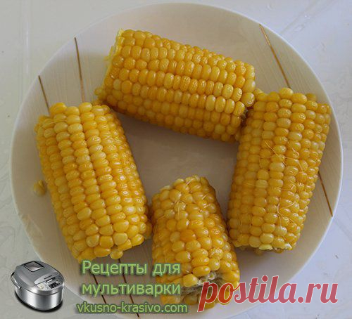 Кукуруза в мультиварке » Рецепты для мультиварки