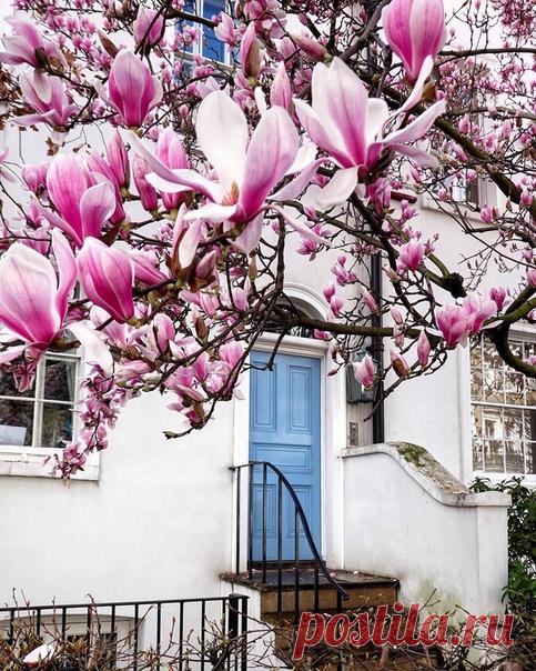 #Южный_Кенсингтон@discoverygroup