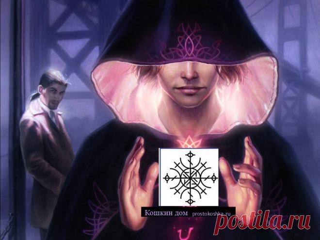 Принудитель | Кошкин дом Став 