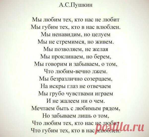 Я отличная хозяйка, жена и мама