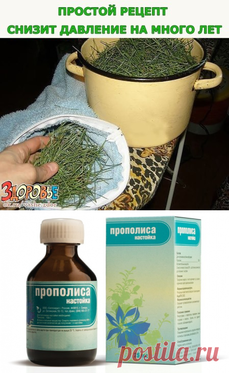 (8) Одноклассники