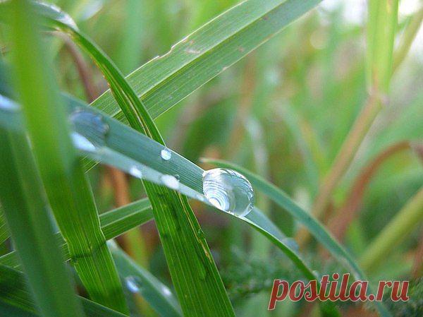 Для улучшения зрения нужно.....