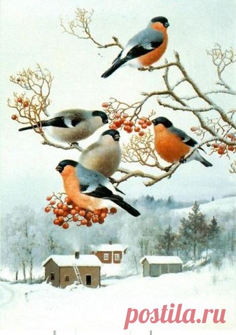 (77) Pinterest
