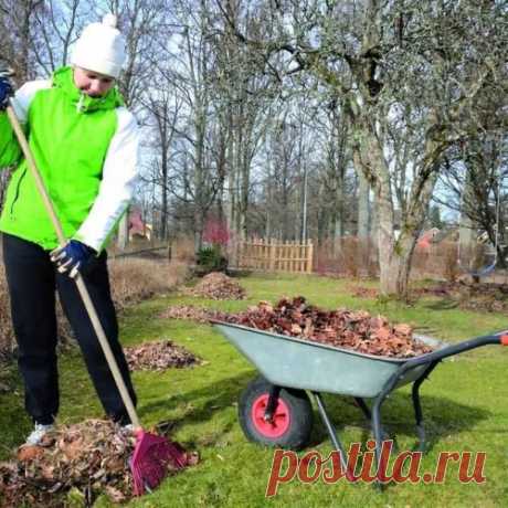 Март – избавляемся от перезимовавших вредителей