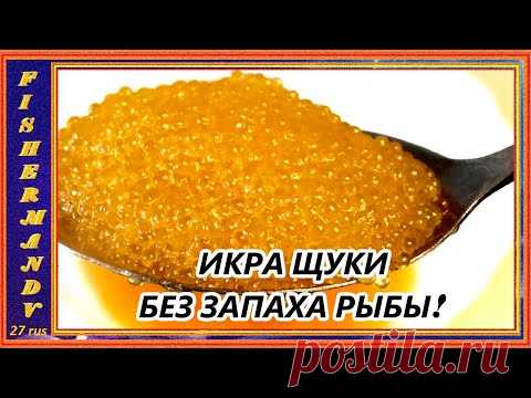 ИКРА ЩУКИ, хороший рецепт приготовления малосольной щучьей икры совершенно  без запаха свежей рыбы!