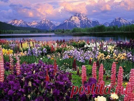 Мой Мир@Mail.Ru