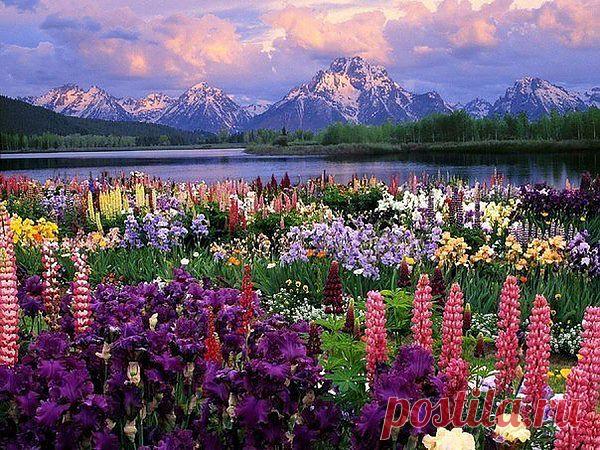 Мой Мир@Mail.Ru