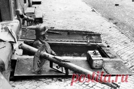 Минобороны: разведчики в 1943 году добыли перспективный немецкий гранатомет. Трофейное оружие было найдено под Гомелем.