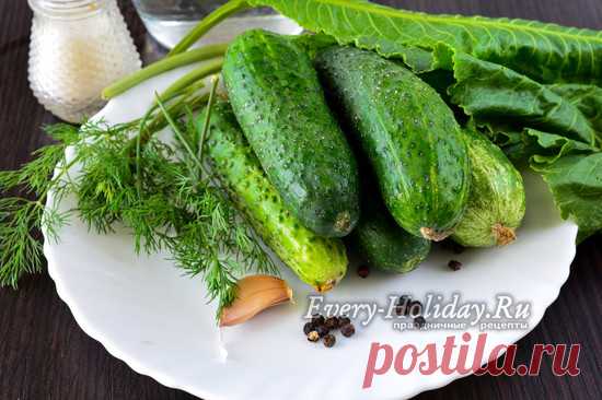 Соленые огурцы в банках как бочковые, рецепт