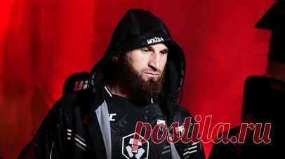 Анкалаев поблагодарил Тейшейру после победы над Уокером на UFC Fight Night 234. Российский боец Магомед Анкалаев отреагировал на сообщение бывшего чемпиона Абсолютного борцовского чемпионата (UFC) Гловера Тейшейры, который тренирует своего соотечественника Алекса Перейру, владеющего титулом промоушена в полутяжёлой весовой категории. Читать далее