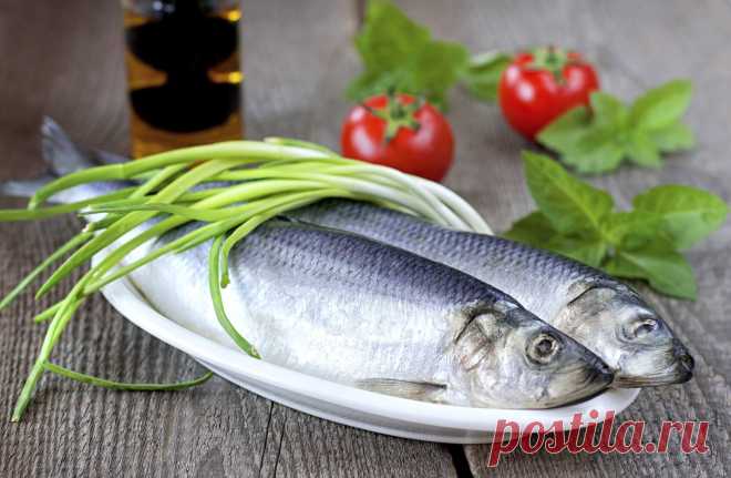 Как просто и вкусно засолить селедку дома: справится даже новичок | И рыба, и мясо Пульс Mail.ru Как засолить селедку в домашних условиях.
