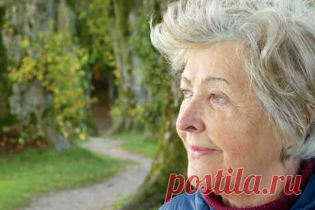 «Быть стариками — не простая штука» - гениальное стихотворение Андрея Дементьева об искусстве старения - Не снилось