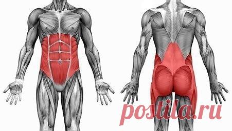 Мышцы кора

Мышцы кора - это целый комплекс мышц, которые отвечают за стабилизацию таза, бедер и позвоночника.
К мышцам кора относятся:
- Косые мышцы живота
- Поперечная м. живота
- Прямая м. бедра
- Малые и средние ягодичные м.
- Приводящие м.
- М. задней поверхности бедра
- Подостная м.
- Клювовидно-плечевая м.

Кор (Core) – биомеханическая зона центра тяжести (также упоминается как корпус или торс).
Мышцы кора - глубокие мышцы, которые пролегают рядом с позвоночником и ...