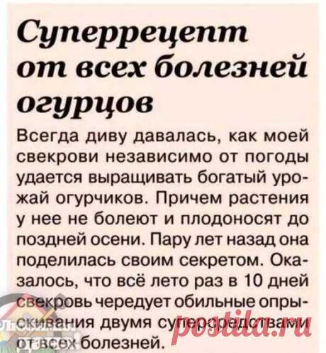 Суперрецепт от всех болезней огурцов!
