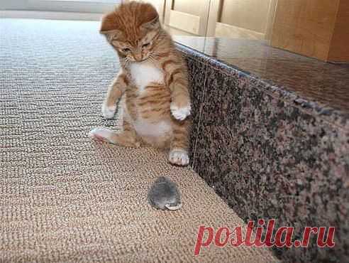 (94) Одноклассники