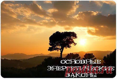 (39) Одноклассники