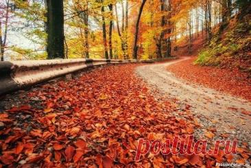 5 простых радостей