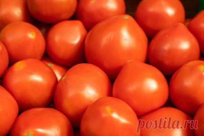 Лучшие сорта крупных мясистых и очень ранних томатов