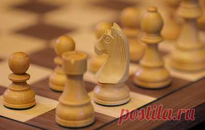 Ткачев: статус фаворита ЧМ накладывает отпечаток на женскую сборную РФ. Командный чемпионат мира среди женщин пройдет в Испании с 18 по 24 ноября