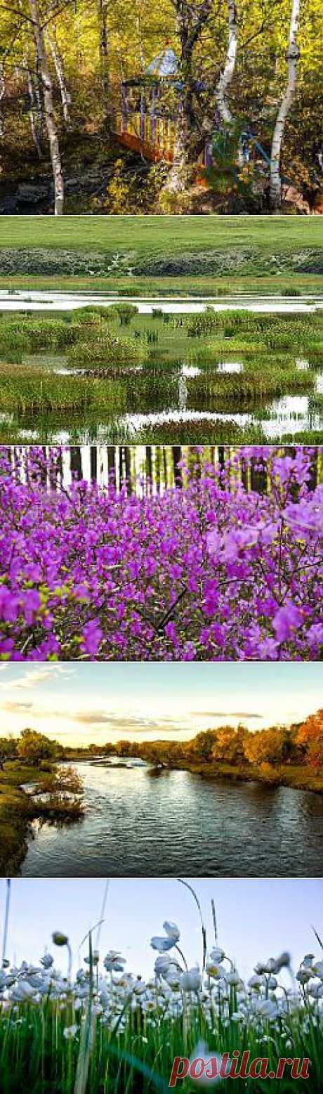 (48) Одноклассники