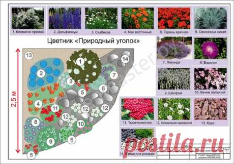 Рубрика "Планируем свой сад" (в альбом "Схемы" https://vk.com/album-9333433_157850999 ):

Цветник "ПРИРОДНЫЙ УГОЛОК".
Этот цветник включает элементы каменистого сада и устроен на участке с небольшим уклоном. Выполнен в пейзажном природном стиле. В композицию включены декоративные растения, близкие к луговым и альпийским.