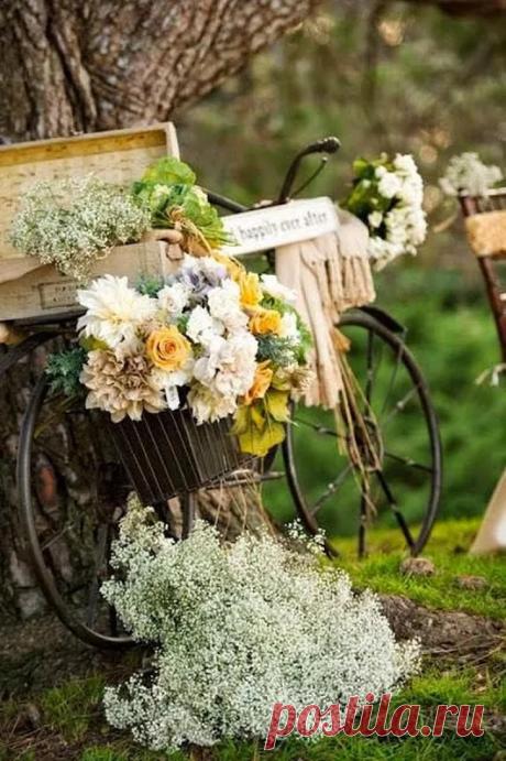 @Ромашковое настроение 🌼 – Google+