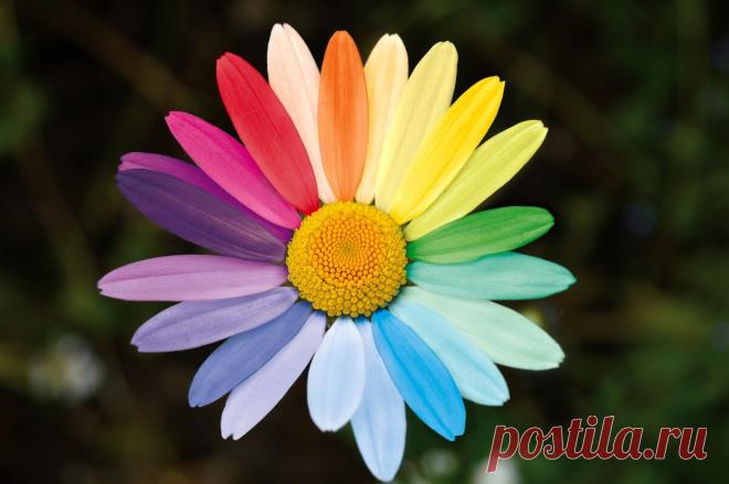 Когда не нужна запятая между несколькими прилагательными, относящимися к одному существительному  → Когда не нужны двоеточие и тире между однородными членами предложения ↔ Когда ставится двоеточие в предложении с обобщающим словом ← Когда ставится тире в предложении с однородными членами ↓
1. Когда не нужна
запятая
между
несколькими
прилагательными,
относящимися
к
одному
существительному:
Мы
вернулись
домой
в
полночь.
Солнце
уже
взошло, когда мы
погрузили вещи в
автобус.
2. Когда не
нужны
двое…