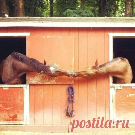 Мой Мир@Mail.Ru