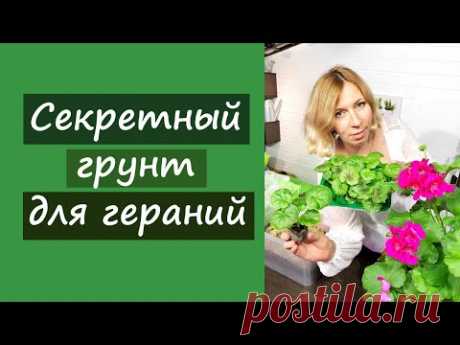 Секретный грунт для пеларгоний (гераней):
