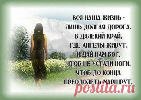 /Елена Краснова/