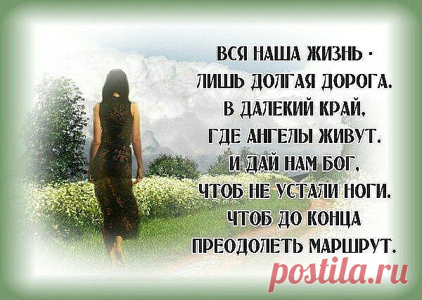 /Елена Краснова/