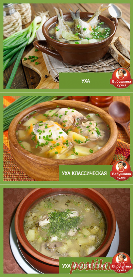 Как приготовить уху: два старинных рецепта ухи!..
